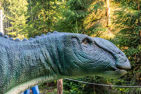恐龙公园里的橡胶雕塑图片