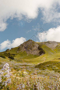 阿尔卑斯山草甸宁静的夏日景色山谷村庄景观夏天山村景色山中的村庄图片