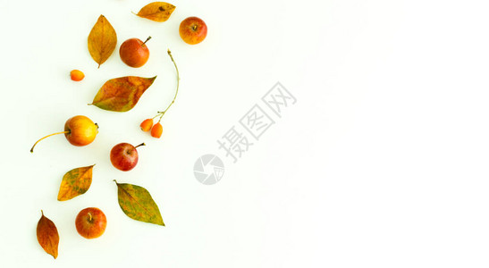 白色背景上由黄色和红色叶子水果和浆果制成的秋季组合物秋天的概念平背景图片