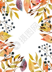 卡片模板水彩秋树叶和森林浆果框架背景图片