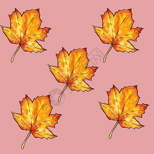 秋天的落叶手绘水彩叶子的美丽图案的可爱图案原创意插画无缝模图片
