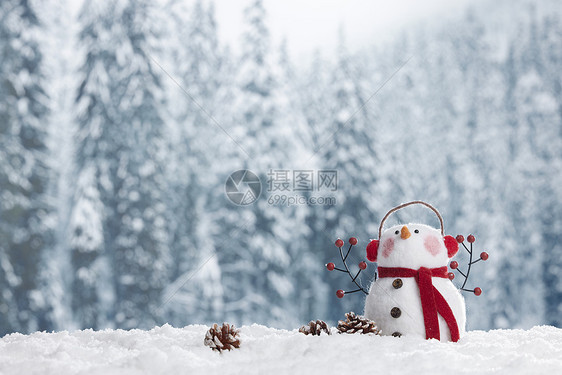 冬季雪景静物可爱雪人图片