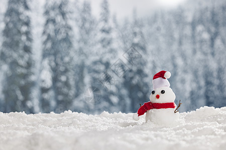 雪地上的圣诞雪人图片