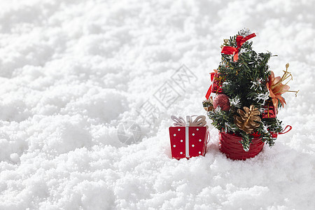 雪景静物圣诞树图片