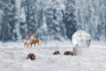 冬季圣诞水晶球静物图片