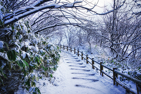 冬季雪山雪景台阶道路图片