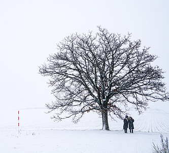 冬季树下情侣图片