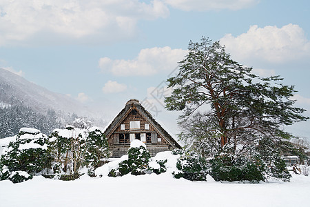 冬季飘着雪花的森林雪景小屋图片