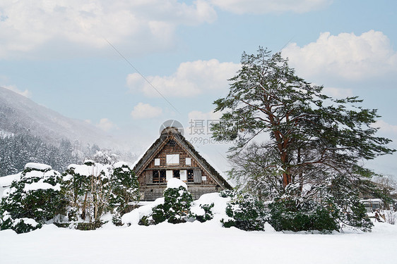 冬季飘着雪花的森林雪景小屋图片