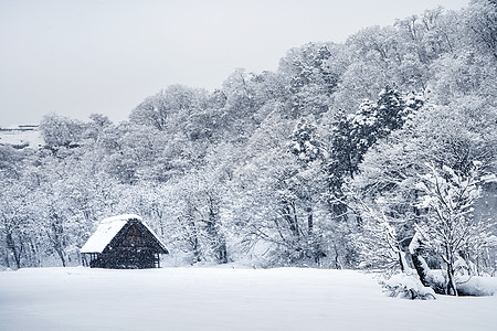 冬季山脚下皑皑白雪中的森林小屋背景图片