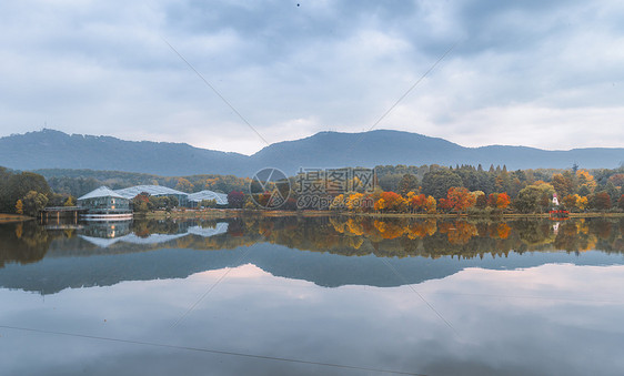 中山植物园前湖倒影图片