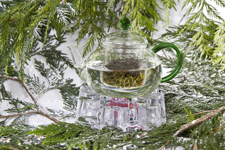 绿茶与壶与常青和雪在背景中图片