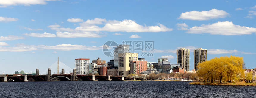 波士顿凯尔特人赛季表现引发球迷热议