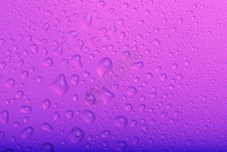 紫色背景上的水滴图片