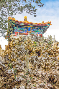 北京紫禁城皇宫博物馆皇宫花图片