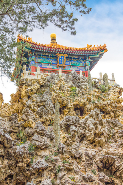 北京紫禁城皇宫博物馆皇宫花图片