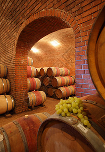 葡萄酒窖酒窖中的酒桶背景