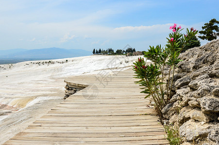 土耳其Pamukkale的Wooden道路沿Traveltine漫经土背景图片