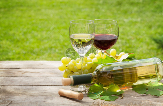 白红葡萄酒杯和瓶子在阳光图片