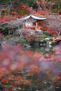 京都醍醐寺的日本建筑与秋景图片