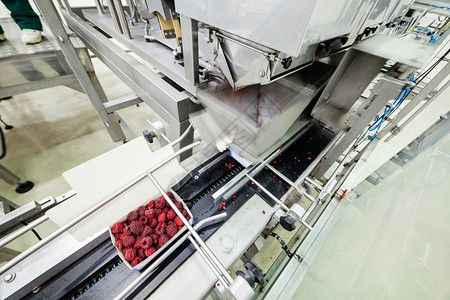 全自动流水线在分类和加工机器中冷冻红树莓背景