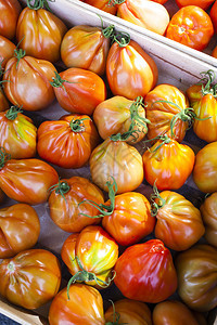 西红柿法国罗昂阿尔图片