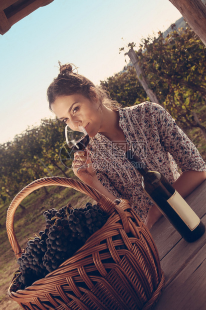 美丽的年轻女子在葡萄园里喝酒图片