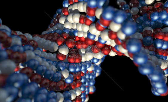 孤立背景上DNA型红蓝白原子序列模图片