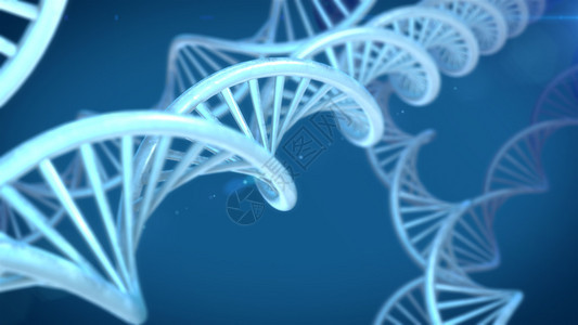 美丽的背景上的DNA分子图片