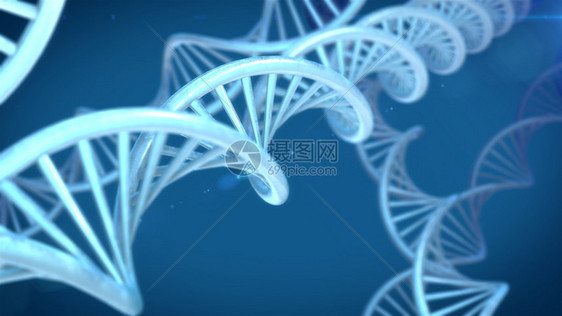 美丽的背景上的DNA分子图片