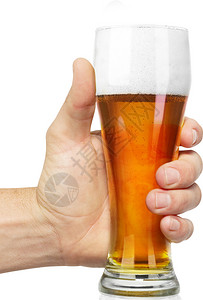 白色背景下手拿着玻璃杯啤酒的特写镜头背景图片