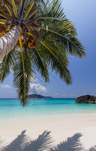 泰国西米兰岛天堂海滩带有图片