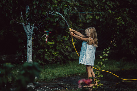 小女孩从院子里的水管里倒水图片
