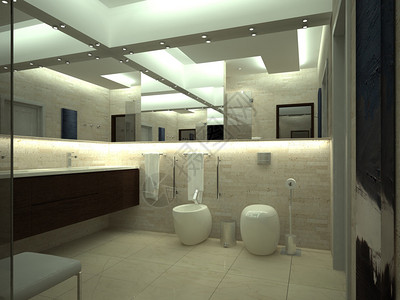 3d表示豪华的现代厕所用图片