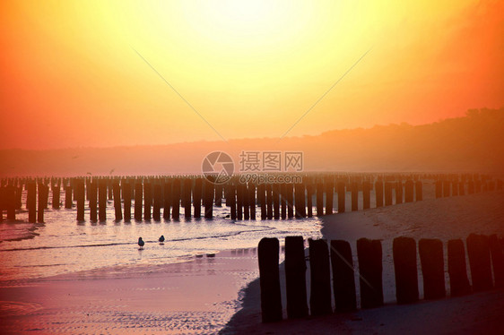 自然景观在海滩的日落图片