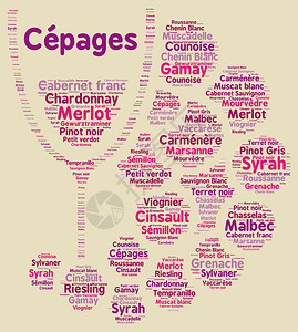法国词云中的葡萄品种图片