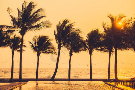 海滩和海滨上棕榈树的轮椅图片
