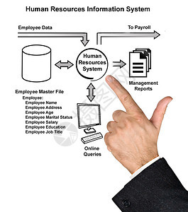 人力资源信息系统图片