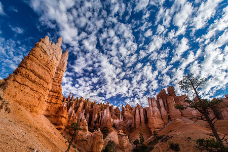 BryceCanyon风景图片