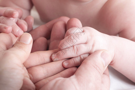 婴儿把手放在妈或爸的手掌上图片