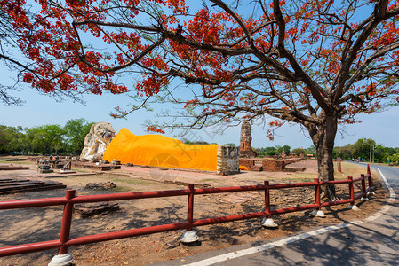 泰国Ayutthaya历史公园的巨型佛像图片