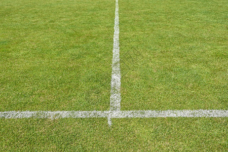 足球场的草和条纹背景图片