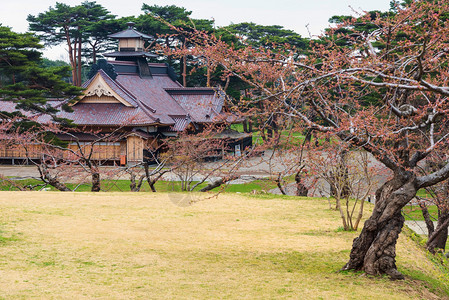 在日本北海道Goryokaku公园带树木的Hakolate城堡或前图片