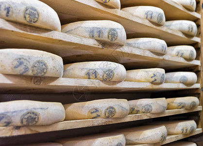 酒 古法国franchecomte奶制品成熟地窖的木架背景