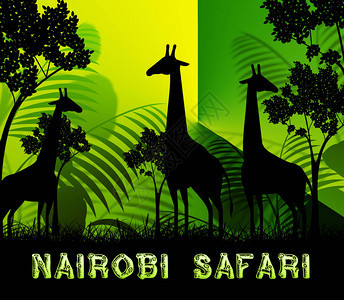 内罗毕SafariGiraffes展示野生动物背景图片
