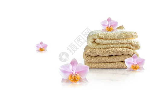 干净的毛巾和兰花设计横幅图片