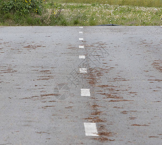 荷兰废弃道路很长时间没有使用过背景图片