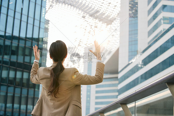 面对阳光打气的商务女性背影图片