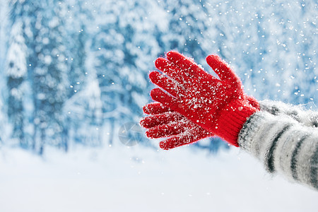 冬日雪地里玩雪手部特写图片