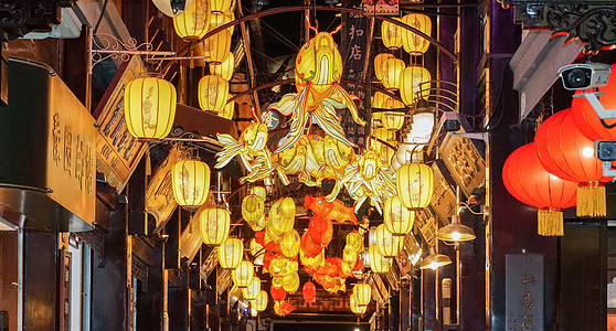 兔子画册豫园新年元宵灯会背景